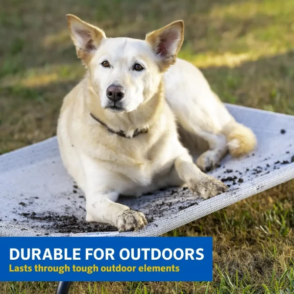 Coolaroo Cooling Elevated Dog Bed 4
