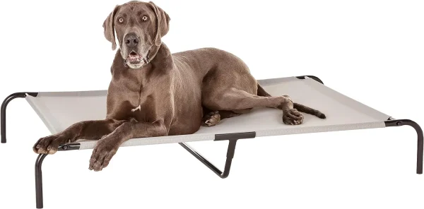 Elevated dog bed xl