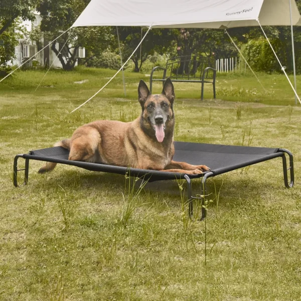 Outdoor Elevated Dog Bed 2